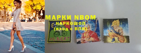 прущие грибы Верея