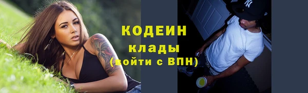 прущие грибы Верея