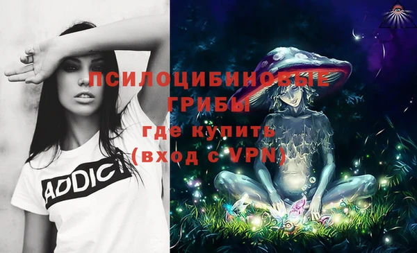 а пвп мука Бронницы