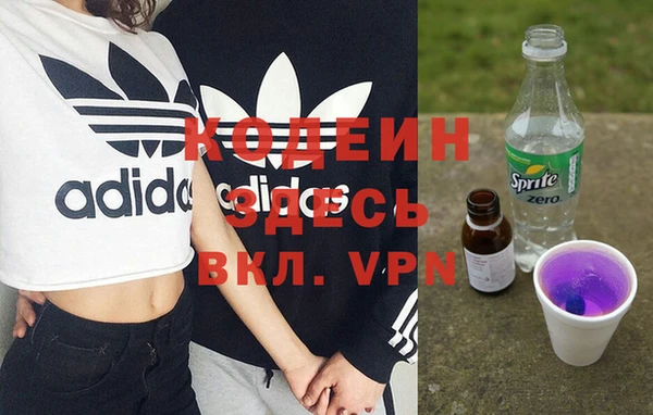 прущие грибы Верея