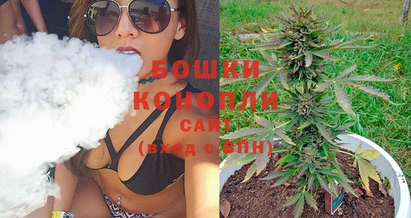 экстази Бородино