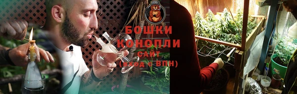 крисы Бугульма